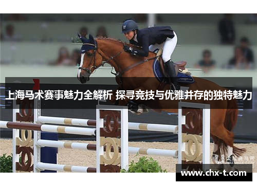上海马术赛事魅力全解析 探寻竞技与优雅并存的独特魅力