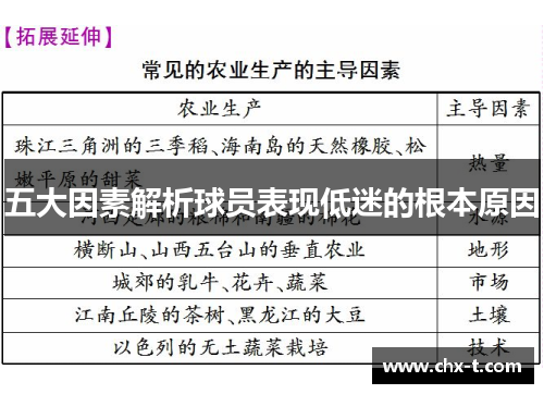 五大因素解析球员表现低迷的根本原因