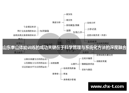山东泰山体能训练的成功关键在于科学管理与系统化方法的深度融合