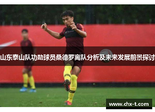 山东泰山队功勋球员桑德罗离队分析及未来发展前景探讨
